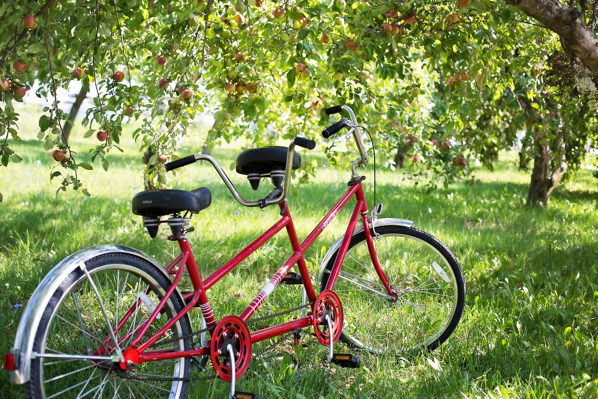 Photographie d'un vélo tandem ayant un but d'illustration