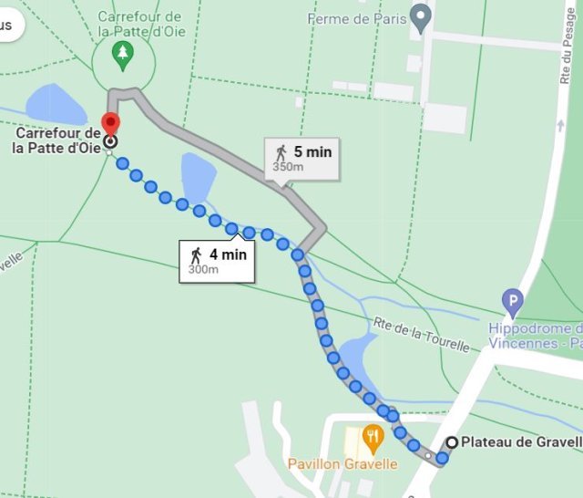 plan de l'animation Polygone